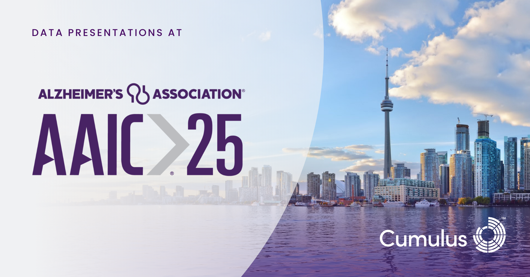 Image of AAIC 2025 banner